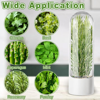 LDHHYH 4 PCS Fresh Herb Keeper for Refrigerator, Herb Saver for Refrigerator, Cilantro Containers for Fridge, Herb Storage Containers for Cilantro Asparagus Mint Rosemary Parsley Basil for 2-3 Weeks