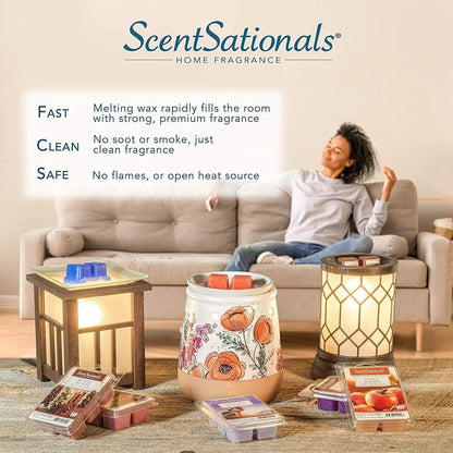 Scentsationals Wax Melts - Beach Please, Long Lasting Scented Melts for Warmer, 10oz (24-Cubes)