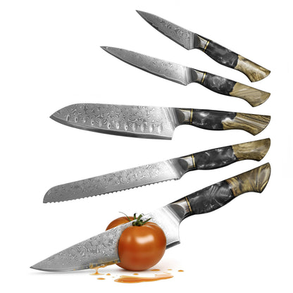 Seveat Damascus Kitchen Knife Set | 67-Layer Damascus Steel | Professional Japanese Chef Knife Set | Ergonomic Wood & Resin Handle | Gift Box Included (Black, 5-Piece Set)