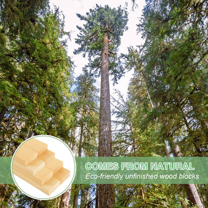 LOLYSIC 8 Pack Basswood Carving Blocks, 12x2x0.8 Inch Unfinished Basswood Carving Blocks Kit for Wood Carving Beginner