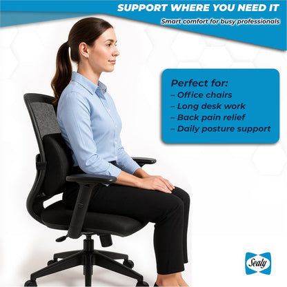 Sealy Lumbar Support Pillow for Office Chair and Car Seat - Lower Back Pain Relief, Memory Foam Lumbar Pillow & Back Brace Support Posture Corrector