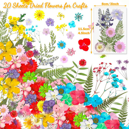200 Pcs Dried Pressed Flowers for Crafts, 20 Sheets Real Dry Florals and Leaves Bulk with Tweezer for Resin Molds Candle Soap Making Scrapbook Bookmarks Frames Supplies Kit Nail Art Makeup Decor