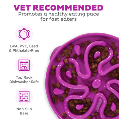 Outward Hound Fun Feeder Slo Bowl, Large Slow Feeder Dog Bowl, 4 Cups, Purple