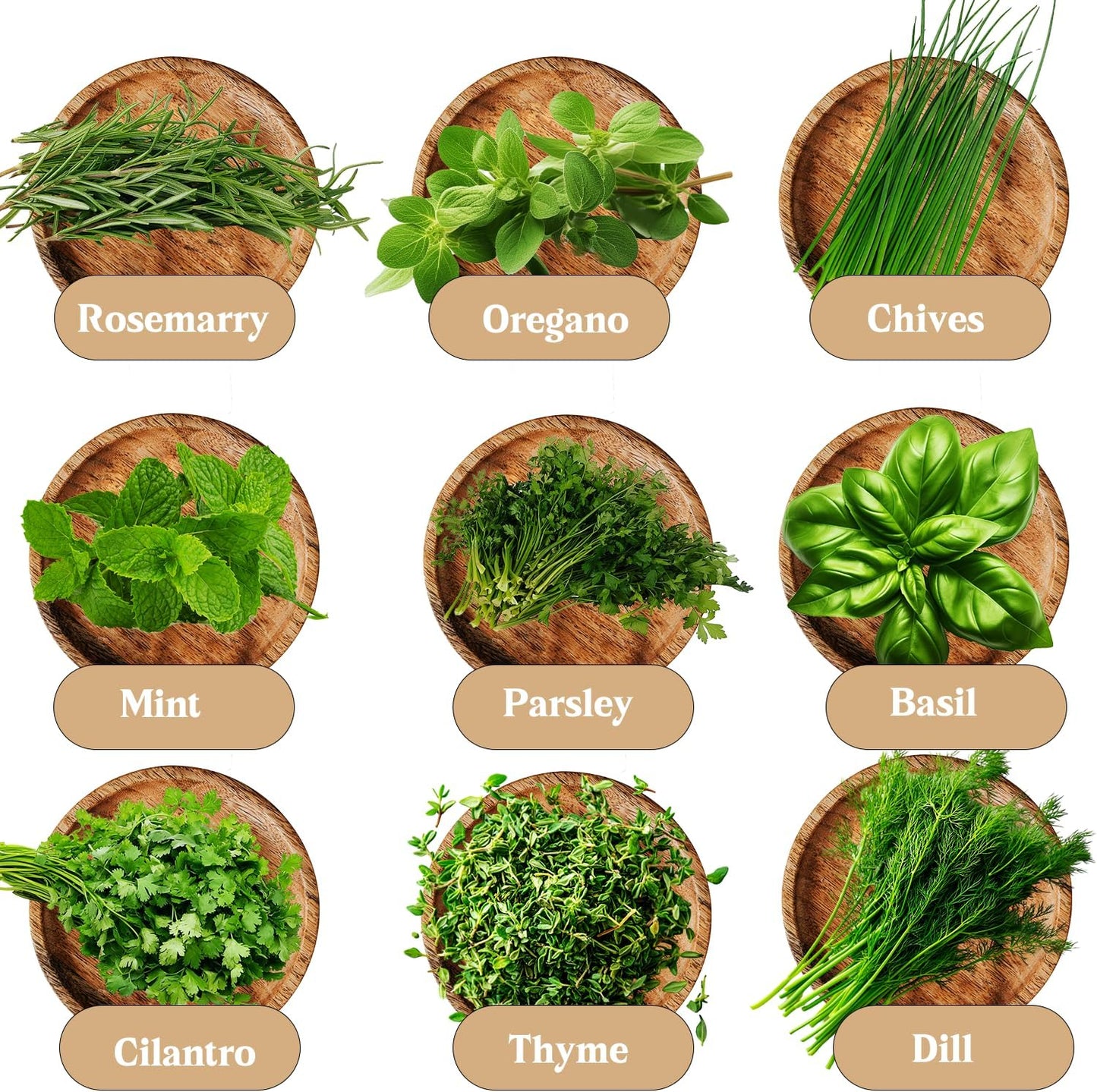 DESAI Garden 9 27 Indoor Herb Garden Kit, Non-GMO Seeds with Reusable Pots, Planter DIY Grow Kits for Growing Herbs
