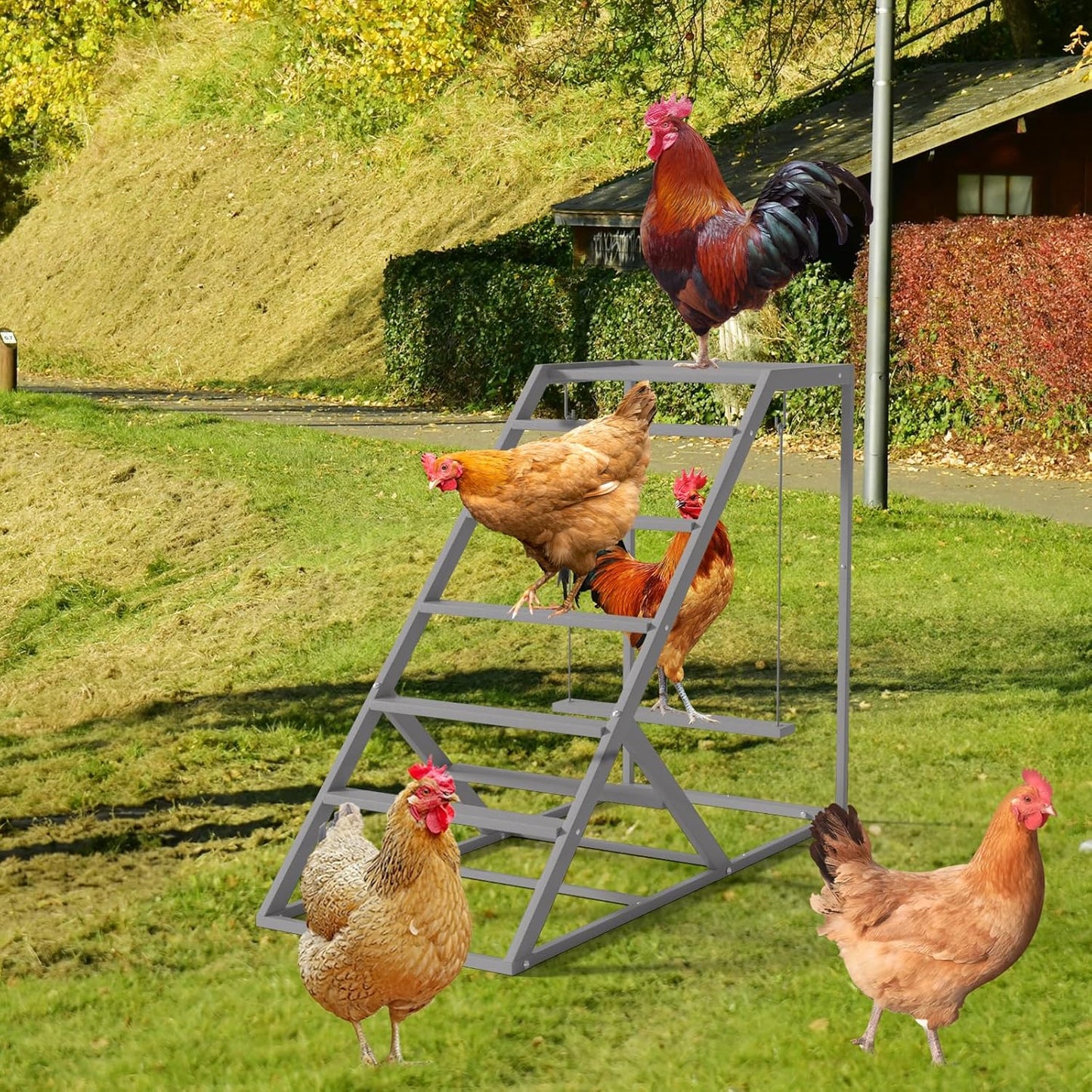 Set Chicken Perch for Coop with Ladder, Chicken Roosting Bars for Chickens in Coop with Swing Wooden Run Accessories