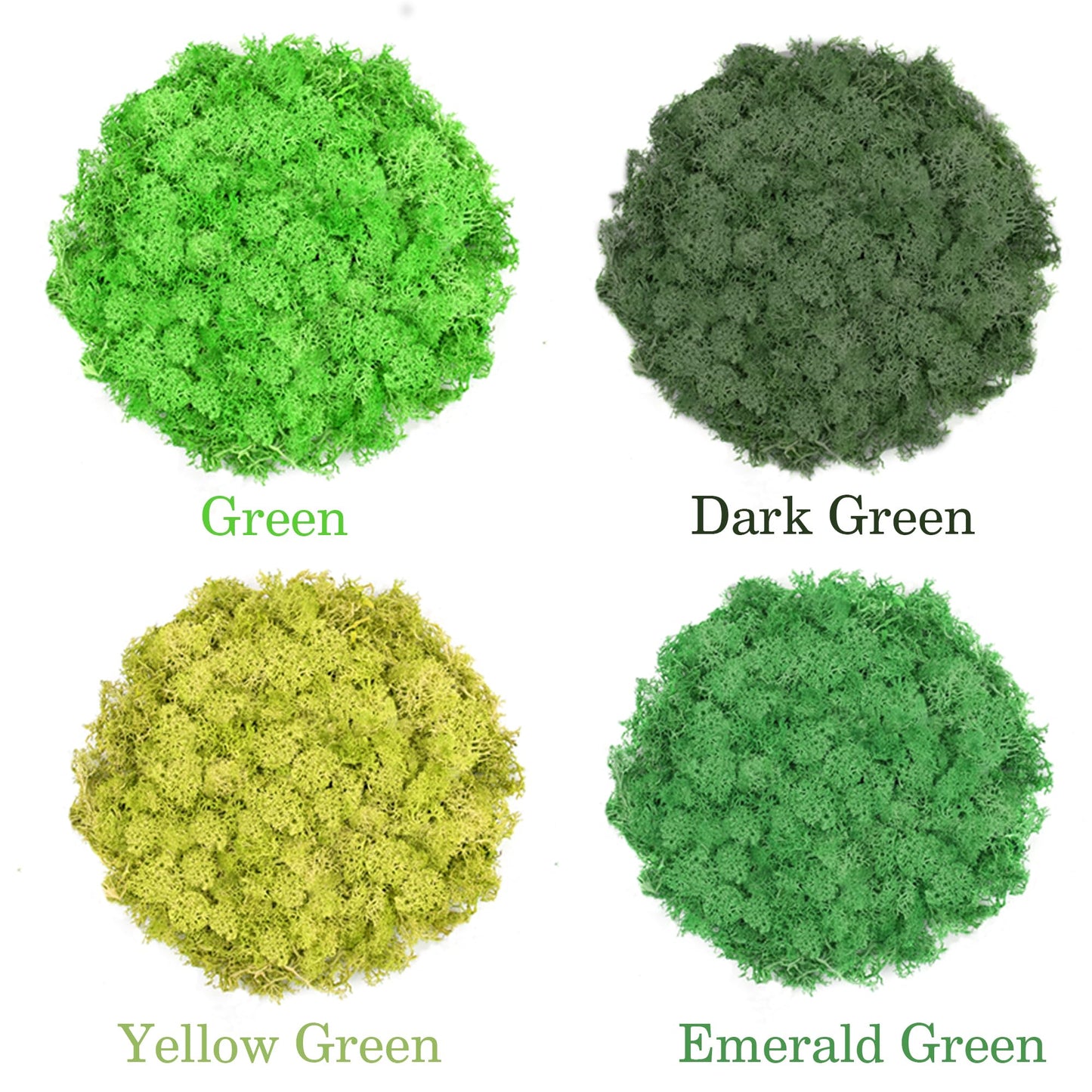 TCYPUHL Preserved Reindeer Moss Set, 14 oz, Green, Dark Green, Yellow Green and Emerald Green Craft Moss for Potted Plants, Fairy Gardens, DIY Wall Art, Floral Arrangements and Holiday Table Decor