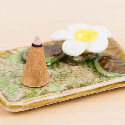 SOUL STICKS Assorted Backflow Incense Cones for Meditation, Yoga, Aromatherapy | 40 Premium Cones | Fits All Backflow