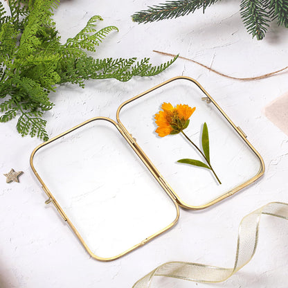 JUXYES Tabletop Double Glass Brass Frames for Pressed Flowers, Double Sided Glass Frame Gold Floating Artwork Display Frames for Photo, Picture, Dried Pressed Flower, etc, 4x6 Inches