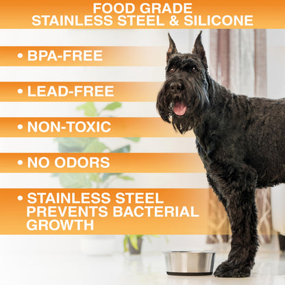 Neater Pet Brands Stainless Steel Dog Bowls with Non-Slip Rubber Bottom – 2 Cup (16 oz), Black - Set of 2 Heavy Duty Metal Dog Bowls, Dishwasher Safe, Food or Water Bowl, Ideal for Small Dogs & Cats