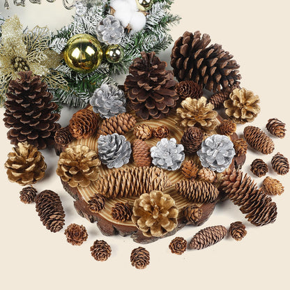 TaoQ C 45 PCS Pine Cones Christmas Pine Cones Natural Large Mini Silver Gold Pinecones for Decorating Christmas Tree Winter Holidays Thanksgiving Table Fall Bowl Fillers Ornaments