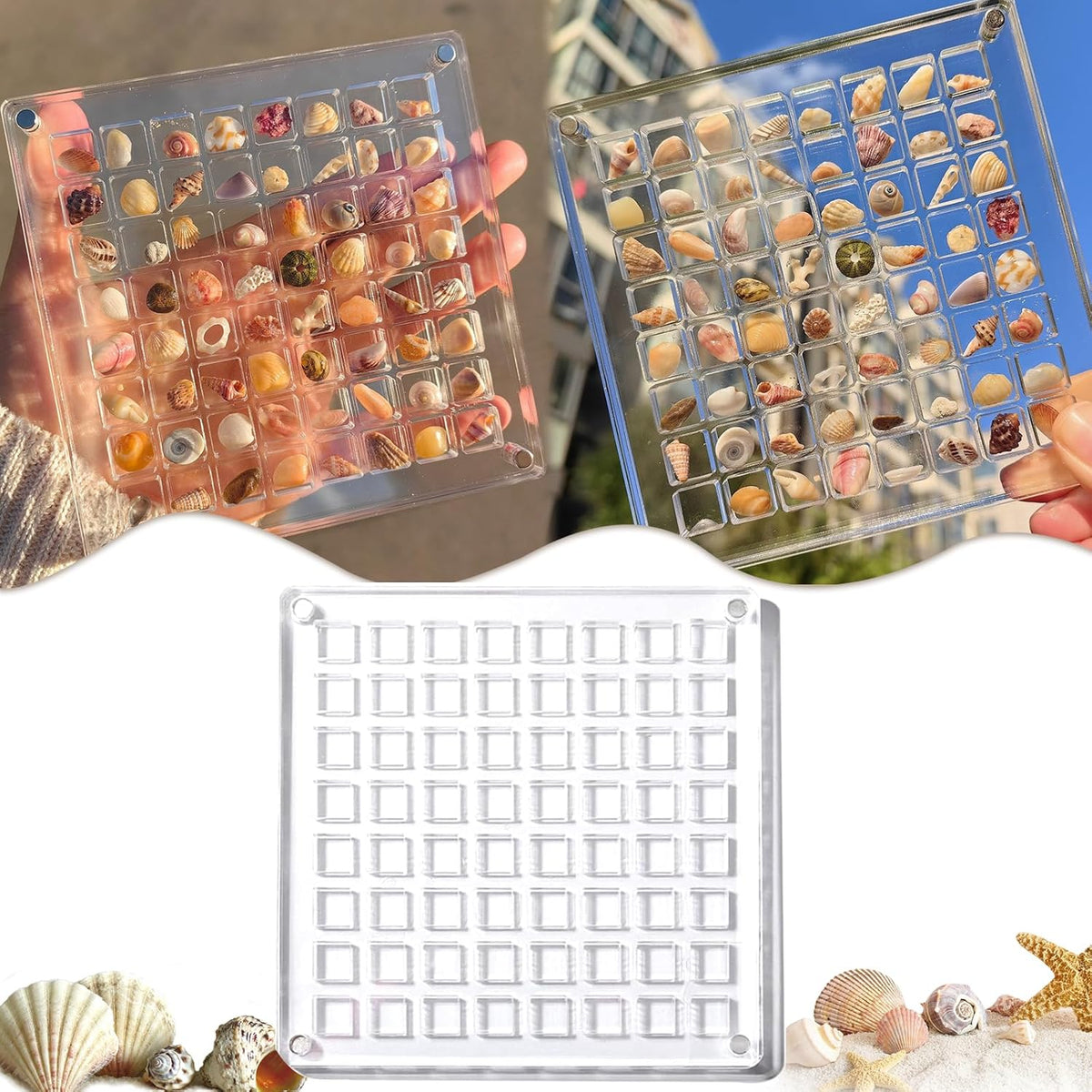 Acrylic Magnetic Seashell Display Box, Decorative Storage Case for Seashells, Trinkets, and Small Craft Organizers