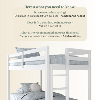 Grain & Grove Bear Twin Over Twin Bunk Bed, Sturdy Bunk Bed Frame for Kids, Plywood Bunk with Ladder, Guardrail, and Slats, No Box Spring Required, Brushed White
