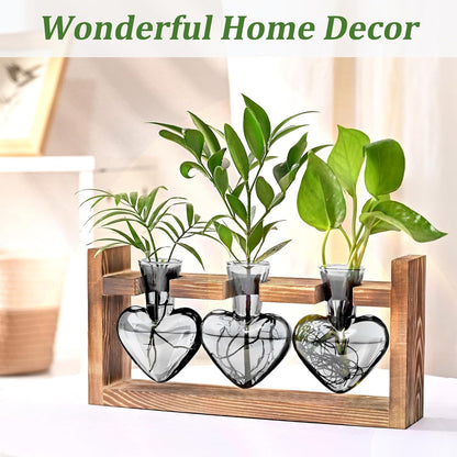 (3 Lifecapido Heart Shaped Propagation Stations, Plant Terrarium with Wooden Stand, Plant Propagation Station