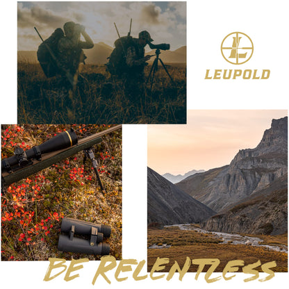 Leupold BX-2 Alpine HD Binoculars, 10x42mm (181177)