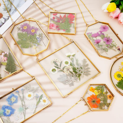 Barydat 8 Set Double Glass Pressed Flower Frames Gifts Wall Hanging Photo Picture Frame with Bag Dried Flowers Chains Gift for Artwork Frame Home Decor Plant Photo Display, 8 Shapes(Gold)