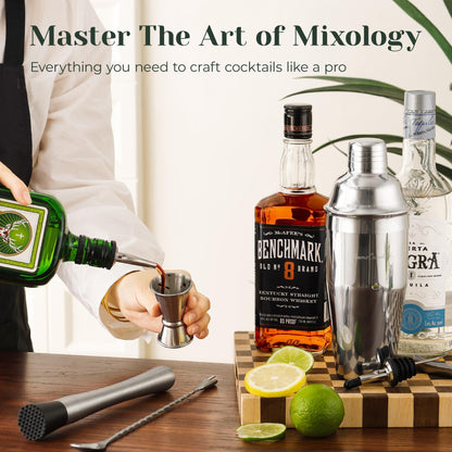 HomeCurated Cocktail Shaker Set,24-Piece Bar Bartender Kit with Stand,Martini Shaker,Jigger,Strainer,Mixer Spoon,Muddler,Liquor Pourers,Tongs,Opener,LCE Ball Mold&LCE Cubes,Bottle Stoppers|Silver