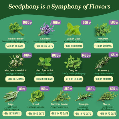 25 Pack 13,055+ Culinary Herb Seeds Variety - Non-GMO Heirloom Herbs Seeds for Planting Indoor & Outdoor: Rosemary