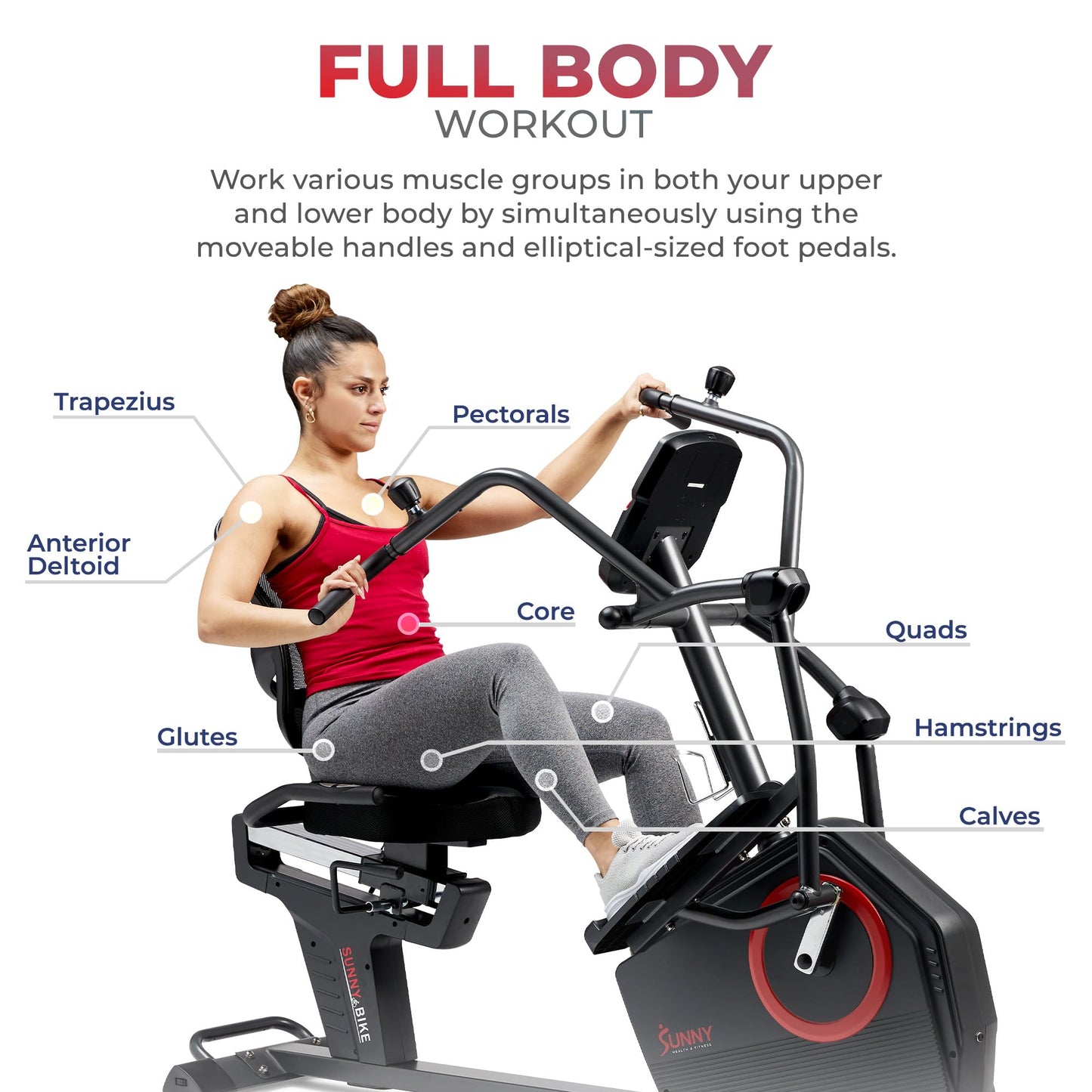 Sunny Health & Fitness Electromagnetic Recumbent Cross Trainer Exercise Elliptical Bike w/Arm Exercisers, Easy Access Seat & Exclusive SunnyFit® App Enhanced Bluetooth Connectivity - SF-RBE4886SMART