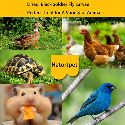 10LB-Pure Dried Black Soldier Fly Larvae Natural Non-GMO BSF Larvae for Chickens-More Calcium Than Mealworms