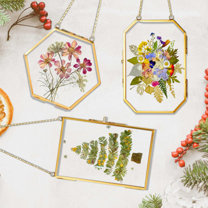 IcosaMro 3 Pack Double Glass Frame for Pressed Flowers 4"x 6" Adult Craft Kits with Brass Glass Frames & 4 Sheets Pressed Flower, Window Hanging Wall Decor Frame for Dried Flowers Leaves Plants
