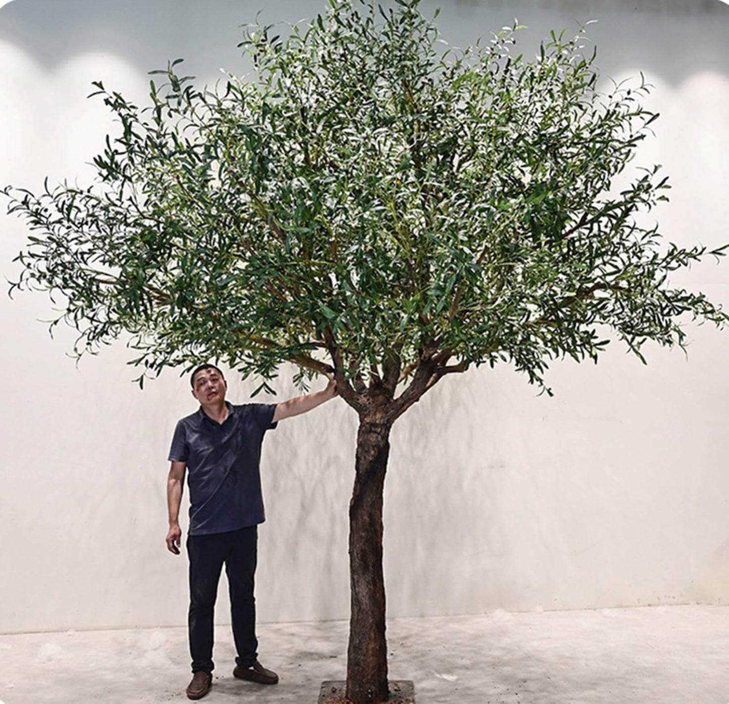 Faux Olive Tree with with Natural Trunk & Lifelike Fruits, Olive Trees Artificial Indoor, for Home Office Living Room Bedroom Holiday Decor(5FT)