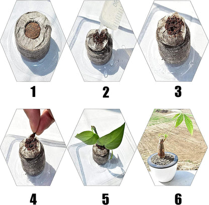 Woohome 150 PCS Peat Pellets Seeding Soil Set, Compressed Peat Block with Plant Labels for Indoor Outdoor Gardening