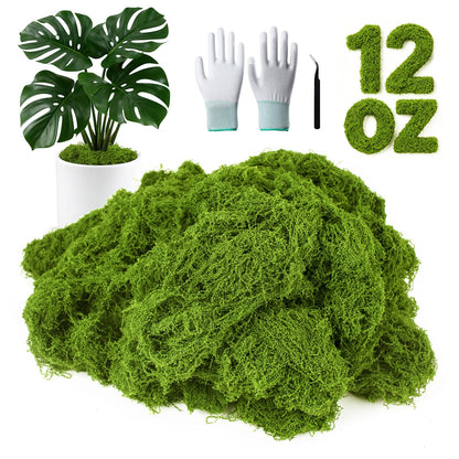 MGLIFEUL 12OZ Artificial Fake Moss for Crafts Plants Indoor with Non-Stick Gloves and Tweezers，Preserved Green Plant Faux Craft Moss Musgo for Fairy Garden Indoor Outdoor Home Decorating Model Making
