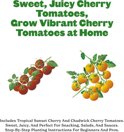 2 Sunset Epic Gardening Cherry Tomato Seed Bundle - Sweet & Juicy Varieties, Includes Tropical & Chadwick Cherry