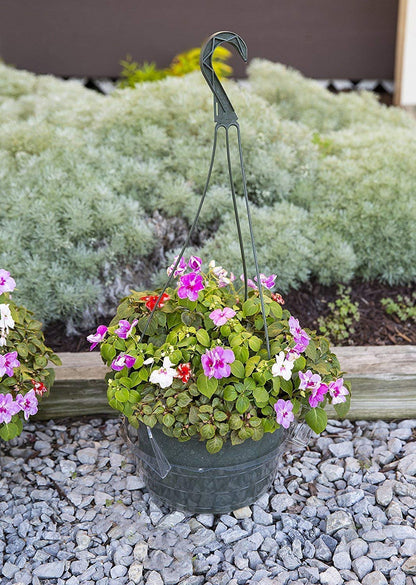 Curtis Wagner Plastics Hanging Basket Drip Pans (5-Pack) | Clear, Round (Diameter = 9" Base, 12" Top, 3.75" Depth) Hanging Plant Tray Saucer with Built-in Hooks & Water Catcher for Indoor & Outdoor