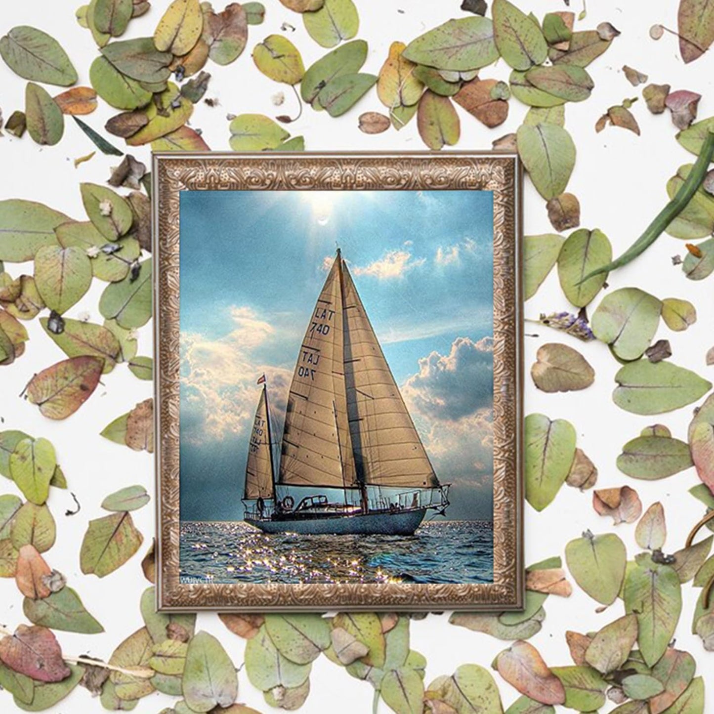 WUIVCTR DIY Oil Painting, Painted by The Adult's Digital Set Sparkling Lake Sailing Boat,16''x20''