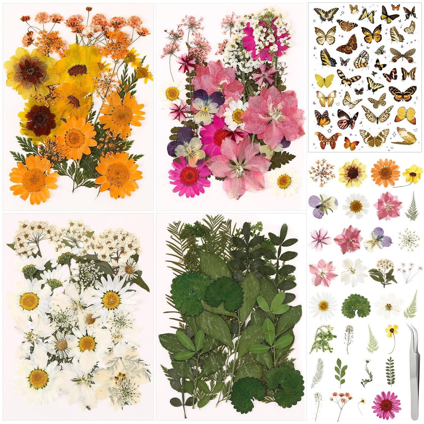 Solsew 160 Pcs Dried Pressed Flowers for Resin Set Natural Pressed Flowers with Butterfly Stickers for Crafts DIY Jewelry Floral Decors Making Nail Art(Wildflower,Light Yellow)