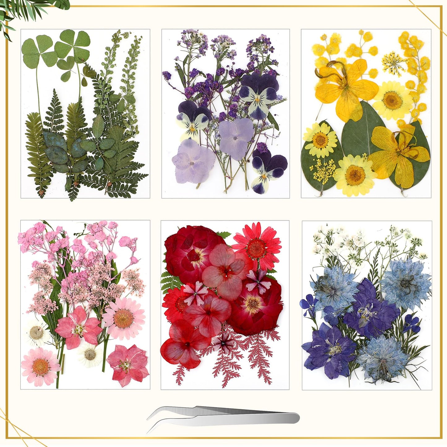 Bucherry 5 Pcs Glass Frame for DIY Pressed Flowers Art Brass Hanging Photo Picture Frame with Chain and 6 Styles Pressed Flowers Collage Glass Craft Frames for Wall Decor Display Gallery (Black)