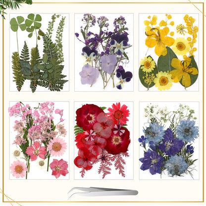 Bucherry 5 Pcs Glass Frame for DIY Pressed Flowers Art Brass Hanging Photo Picture Frame with Chain and 6 Styles Pressed Flowers Collage Glass Craft Frames for Wall Decor Display Gallery (Black)