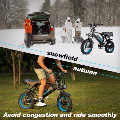 VDL Mountain Electric Bike for Teenager, 16" Fat Tire Ebike, Wider Seat 800W Peak Motor, Removable Battery, Front Fork Suspension, 20MPH, UP to 35 Miles Mountain Ebike, for Leisure Riding&Commuting