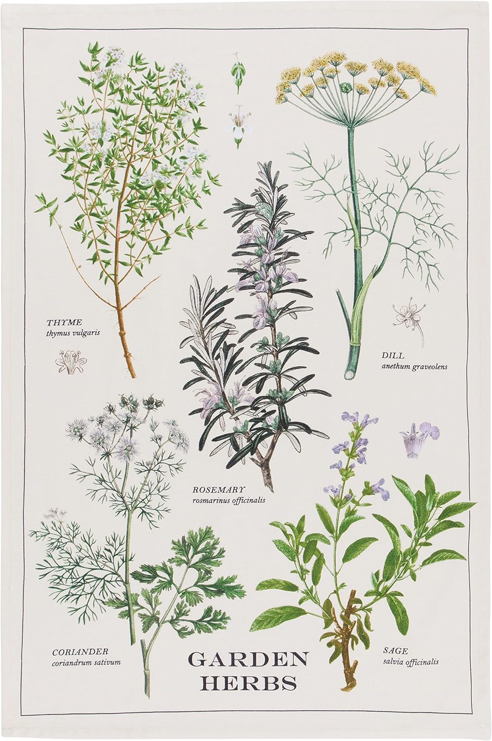 18x28 inches Now Designs Garden Herbs Printed Kitchen Towel