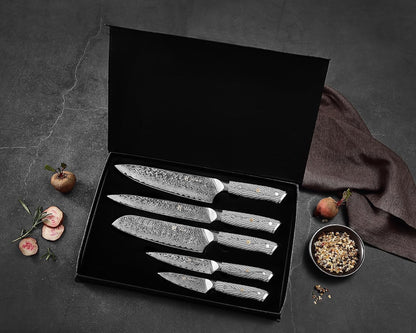 Wakoli Noir Blanc Damascus Knife Block Set – 5-Piece Professional Chef Knife Collection with Magnetic Block – Kitchen Knives made of 67-Layer Damascus Steel Blades & Ergonomic G10 Handles in Gift Box