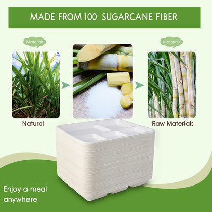 Vplus 100% Compostable Small 5 Compartment Plates 125 Pack 10.25 x 8.25 inch Disposable Sugarcane Bagasse Tray Perfect for Boys and Girls