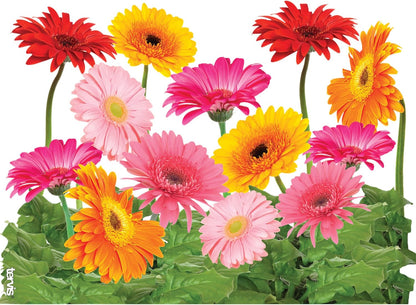 Tervis Gerbera Daisies Double Walled Insulated Tumbler, 24oz, Made in USA, Keeps Drinks Cold & Hot