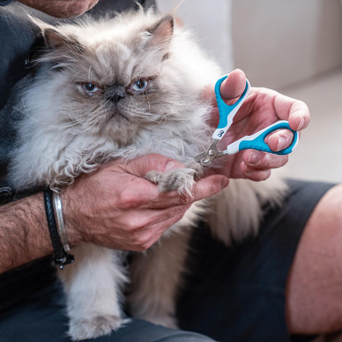 Mr. Pen- Cat Nail Clipper, Pet Nail Trimmers, Kitten Claw Clippers, Easy to Use, Precision and Sharp Cut