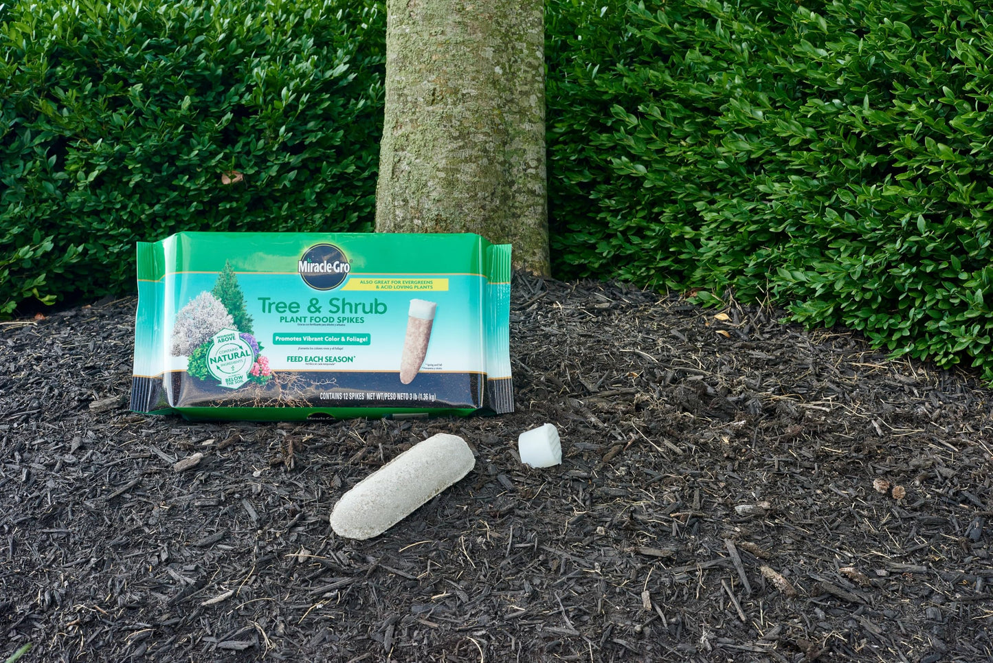 Miracle-Gro Plant Food Spikes Bundle for Fruit and Citrus Plus Trees and Shrubs, For Deciduous, Evergreen and Flowering Trees and Shrubs, 24 Spikes