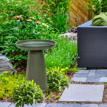 Sunnydaze Gleeful Garden 23" Iron Pedestal Bird Bath for Outside - Modern Shallow Basin Birdbath for Outdoors with UV-Protected Rust-Resistant Finish for Patio, Garden, Yard Decor - Matte Green