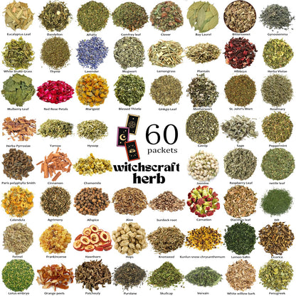 60 Pcs Labeled Dried Herbs and Flowers Kit for Witchcraft, Individually Packed Botanicals for Spell Jars, Altar Decor, Resin, Soap Making and Candle Decoration