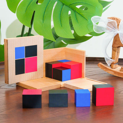 Advanced Montessori Sensorial Materials Set 1 with Pink Tower & Brown Stairs, Premium Solid Beechwood, 14 Sensory Toys for Kids , Preschool Homeschool Classroom Supplies(Sensorial Series Kit 1)