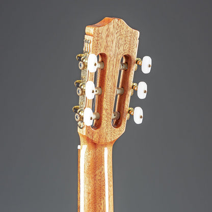 Cordoba C5 Classical w/Solid Cedar Top