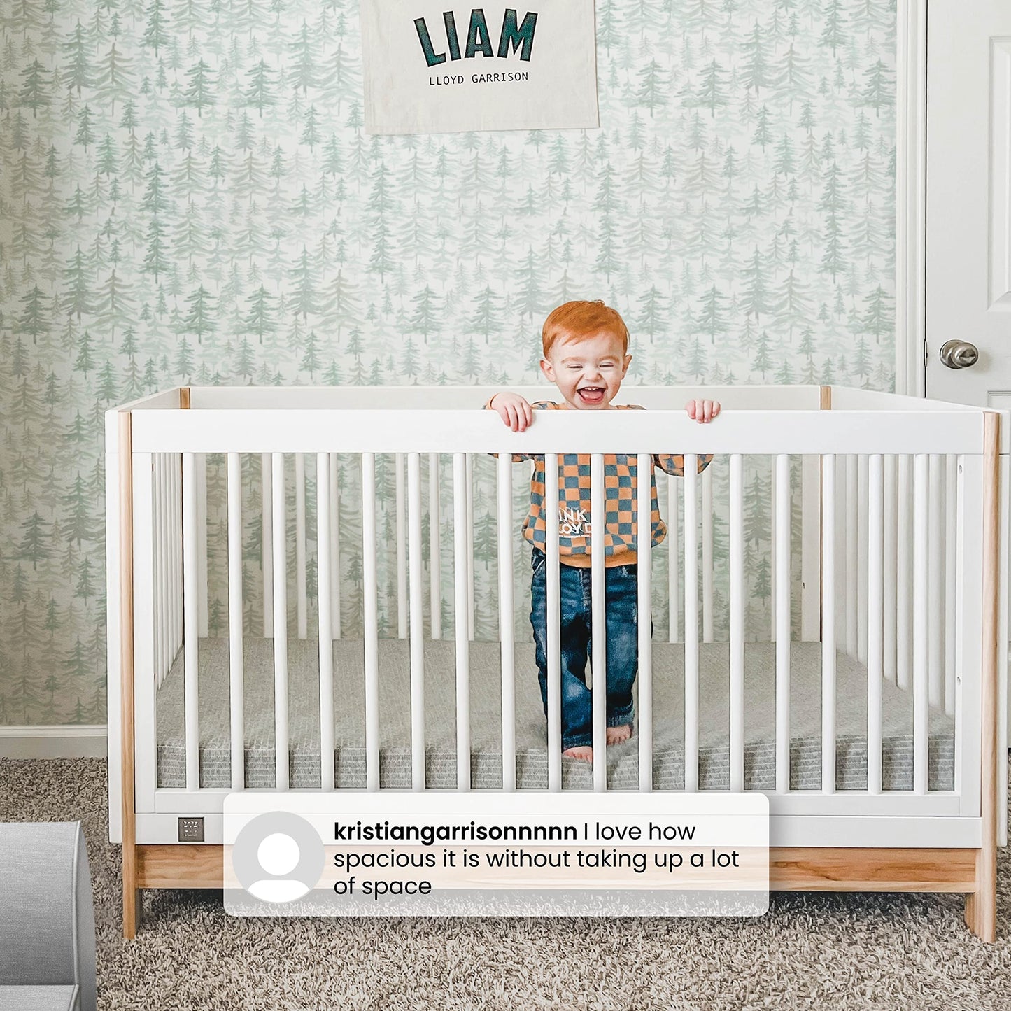 GAP babyGap Tate 4-in-1 Convertible Crib - Greenguard Gold Certified, Ebony/Natural