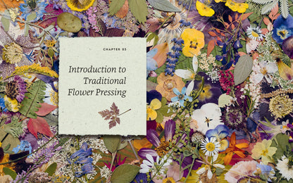 The Pressed Flower Handbook: Simple Methods for Connecting with Nature and Preserving the Beauty of the Garden through the Seasons - Grow, Gather, Press, Create