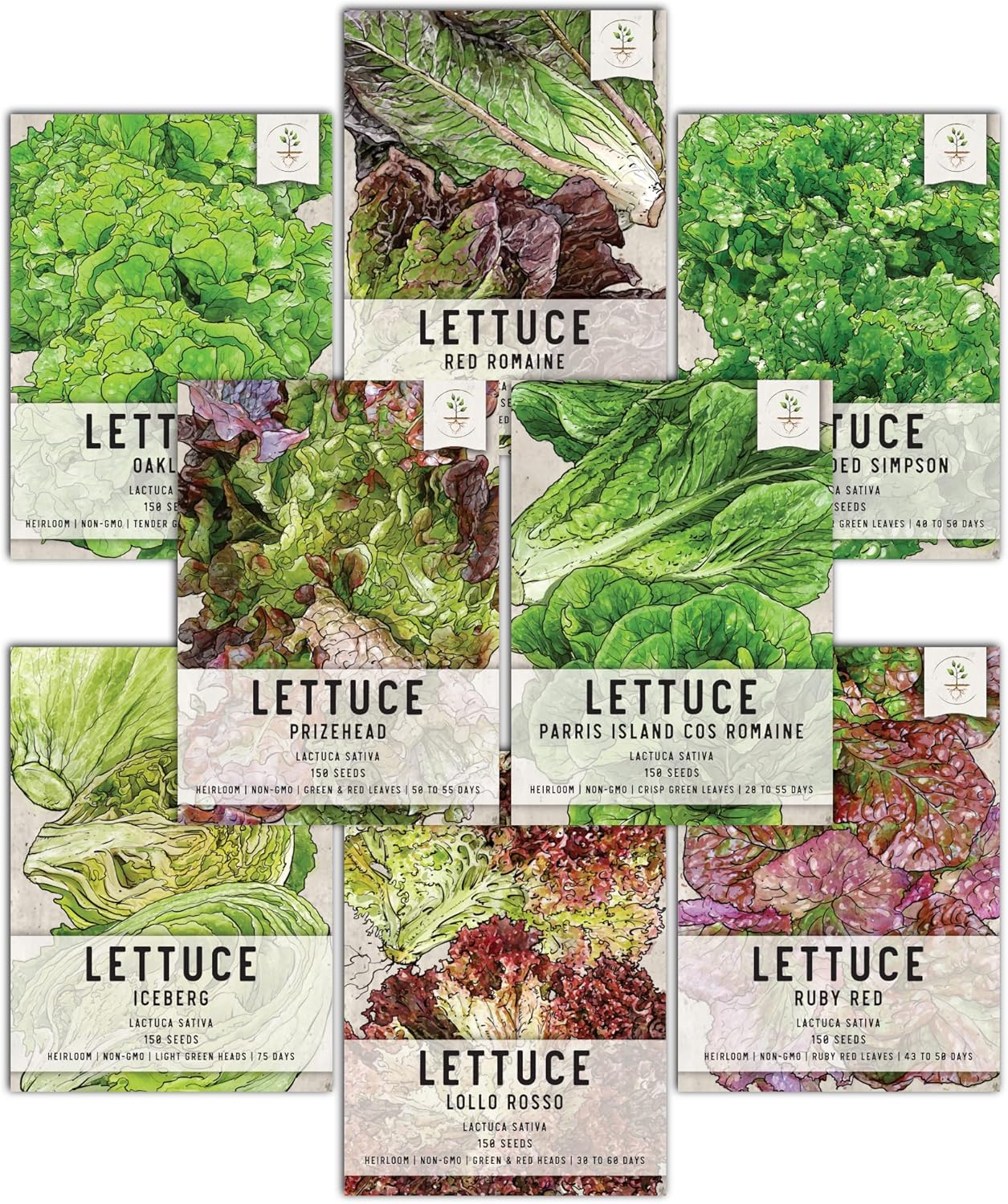 Pack 8 Packets Seed Needs Lettuce Seeds Variety for Planting a Collection of Individual Varieties - Includes Romaine
