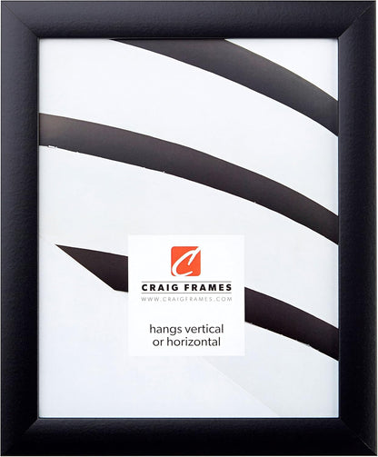 Craig Frames Contemporary Picture Frame, 8 x 10 Inch, Black