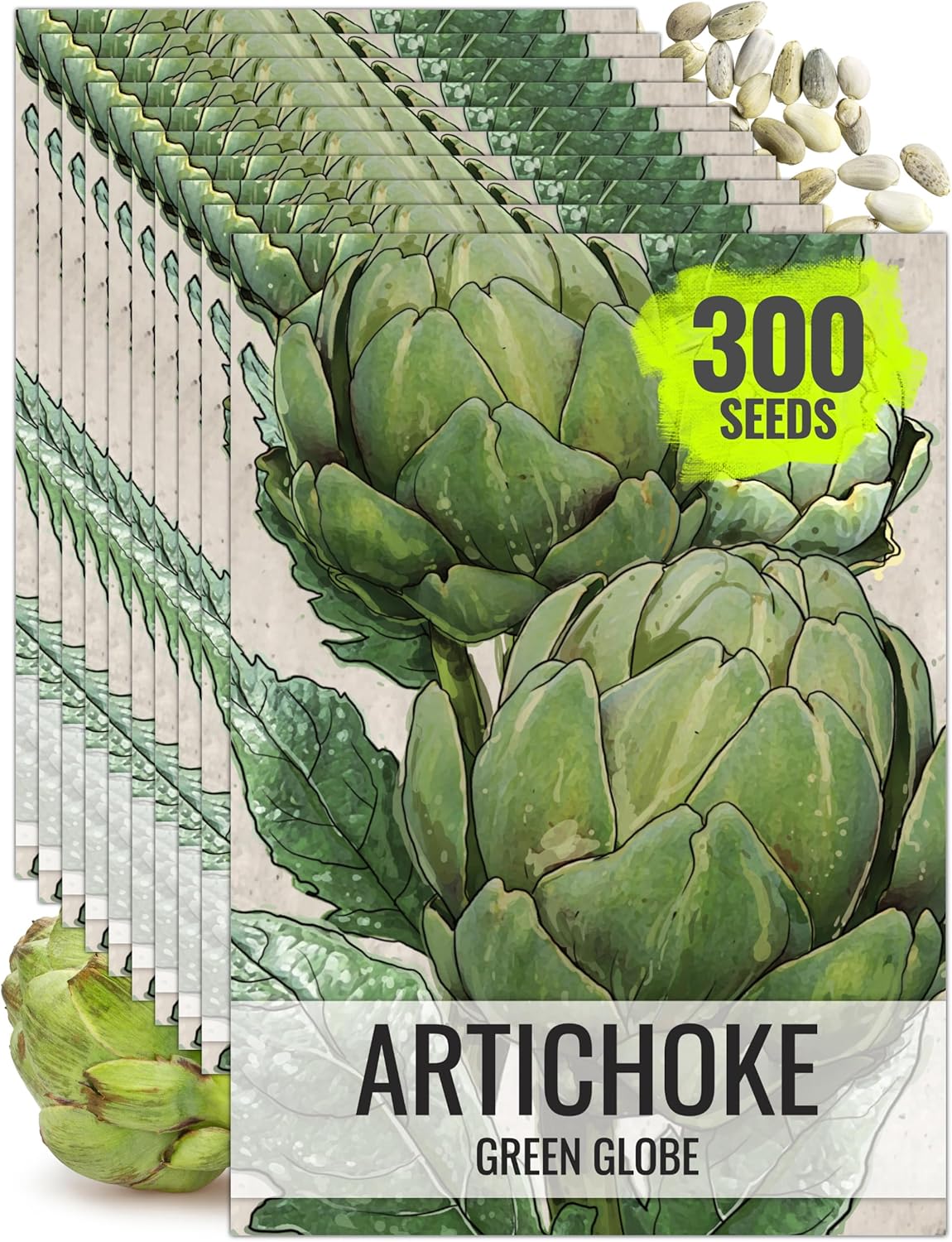 (10 Packs) Seed Needs Artichoke Seeds for Planting Green Globe Artichokes - Non-GMO Heirloom & Untreated - Grow an