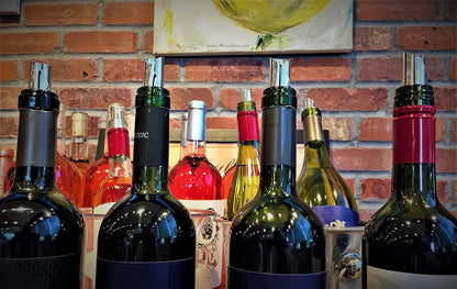 Selection of Colorfully Printed Wine Disc Pourer Bundles, Stop the Drop (6)